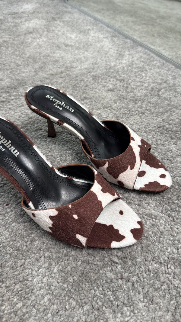 Mules cow